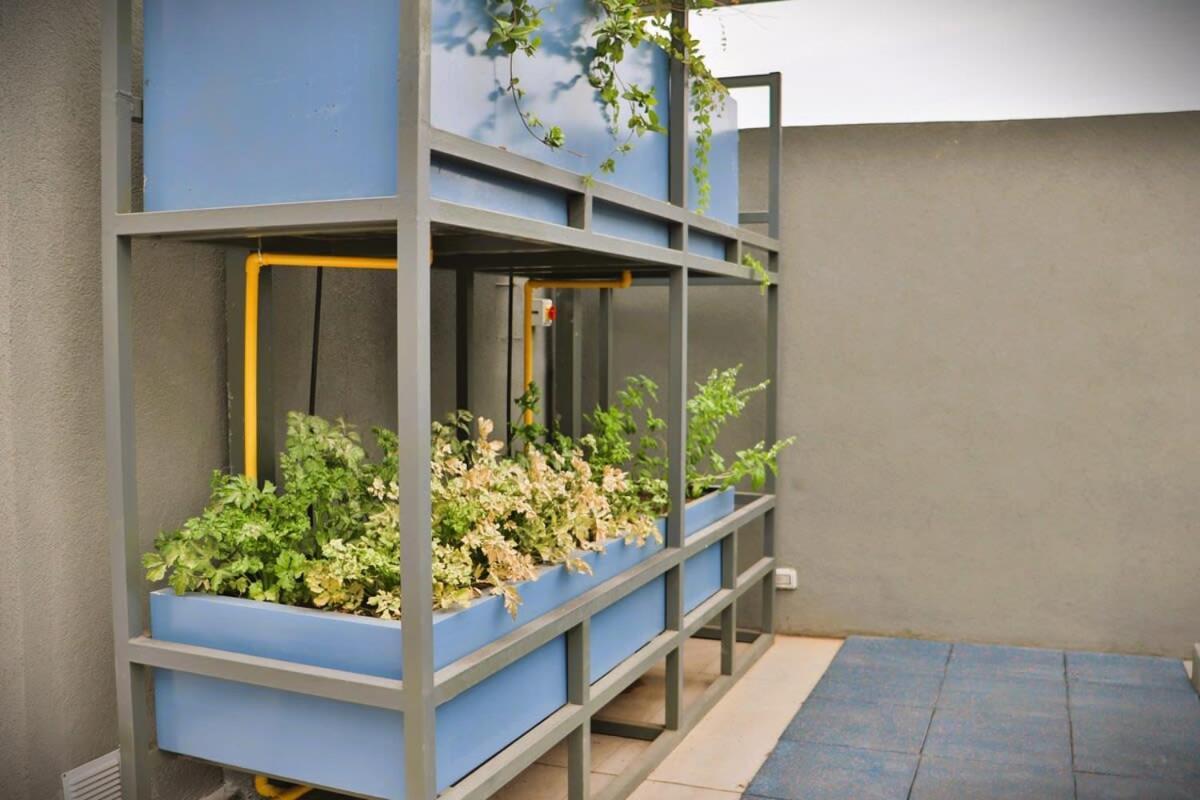 Hom I Luminoso Depto 1d1b 2pax Con Terraza Appartamento *