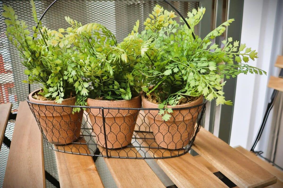 Hom I Luminoso Depto 1d1b 2pax Con Terraza Appartamento Santiago del Cile